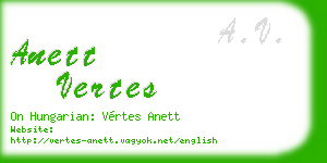 anett vertes business card